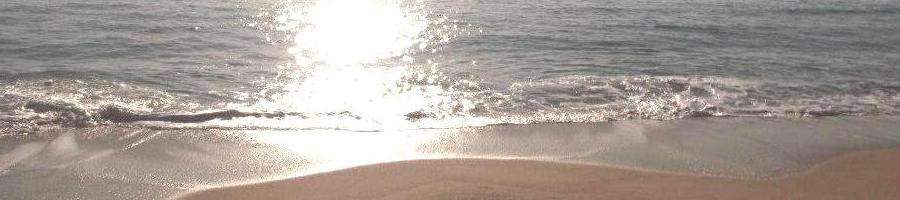 WebTrad Header